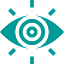 vision-1 vision-1
